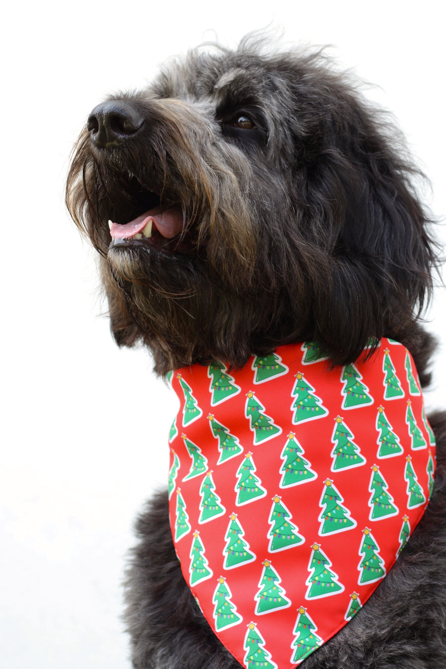 Bandana reversible Santa Clause